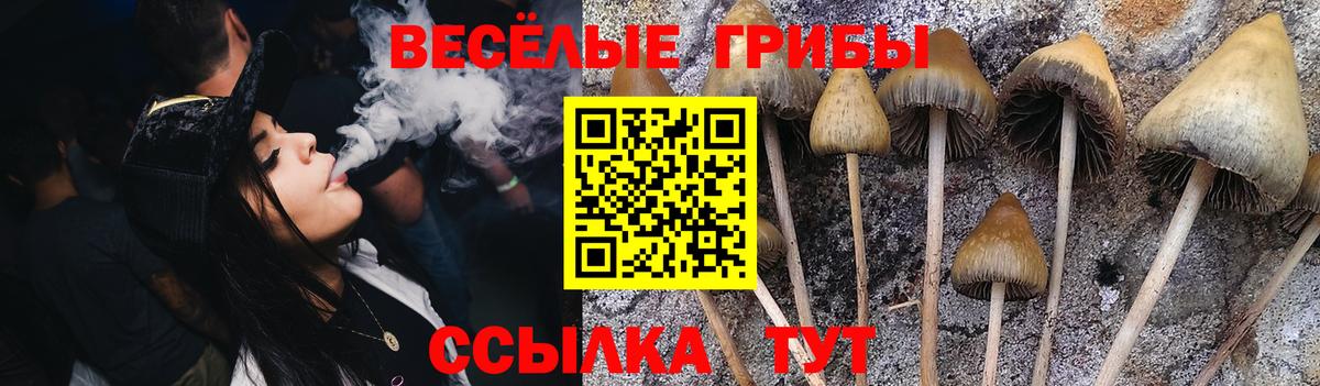 Псилоцибиновые грибы мухоморы Барабинск